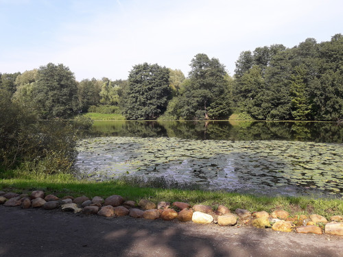Парк Кузьминки, вид на озеро